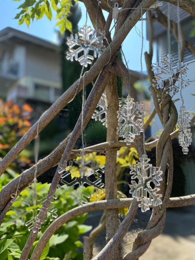 Snowflake 리시겐 외부 사진